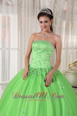 Spring Green Dresses Quinceanera Taffeta and Tulle Appliques