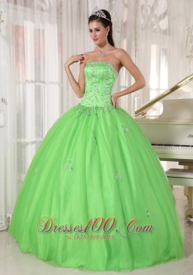 Spring Green Dresses Quinceanera Taffeta and Tulle Appliques