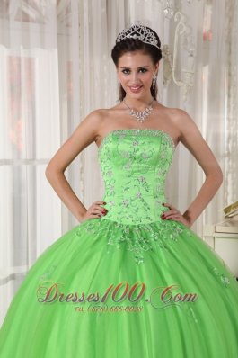 Spring Green Dresses Quinceanera Taffeta and Tulle Appliques