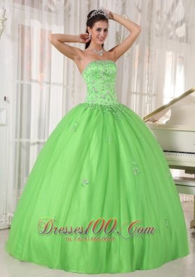 Spring Green Dresses Quinceanera Taffeta and Tulle Appliques