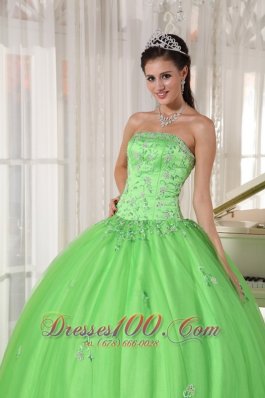 Spring Green Dresses Quinceanera Taffeta and Tulle Appliques