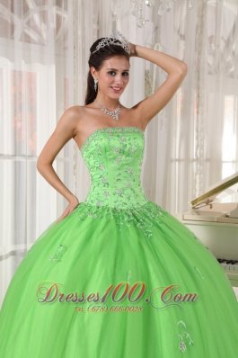 Spring Green Dresses Quinceanera Taffeta and Tulle Appliques