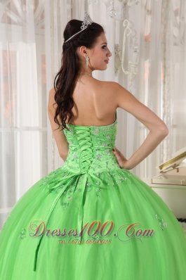 Spring Green Dresses Quinceanera Taffeta and Tulle Appliques