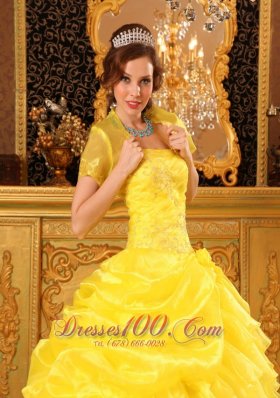 Yellow Quinceanera Dress with Jacket Organza Appliques