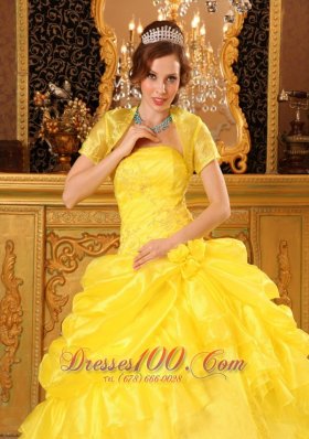 Yellow Quinceanera Dress with Jacket Organza Appliques