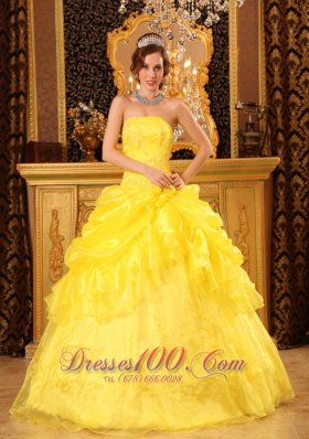 Yellow Quinceanera Dress with Jacket Organza Appliques