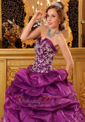 Fuchsia Appliques and Beading Quinceaneras Dress Organza