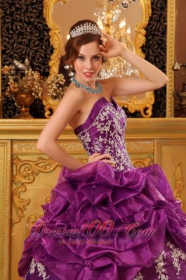 Fuchsia Appliques and Beading Quinceaneras Dress Organza