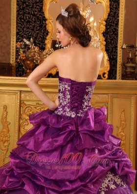 Fuchsia Appliques and Beading Quinceaneras Dress Organza