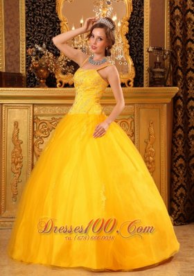 Spaghetti Straps Orange Dresses for Quince Satin and Organza