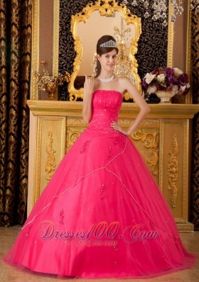 Sweet 16 Dress Hot Pink Flowers Tulle Appliques A-line