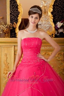 Sweet 16 Dress Hot Pink Flowers Tulle Appliques A-line