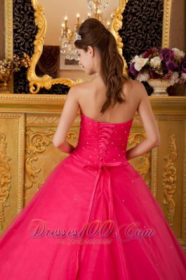 Sweet 16 Dress Hot Pink Flowers Tulle Appliques A-line