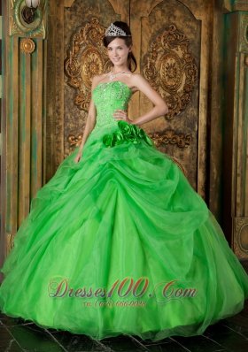 Spring Green Organza Beading Flower Quinceanera Dresses