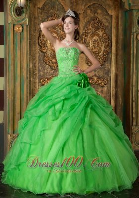 Spring Green Organza Beading Flower Quinceanera Dresses