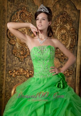 Spring Green Organza Beading Flower Quinceanera Dresses