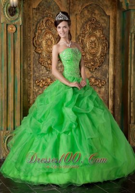 Spring Green Organza Beading Flower Quinceanera Dresses