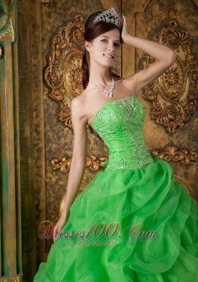 Spring Green Organza Beading Flower Quinceanera Dresses