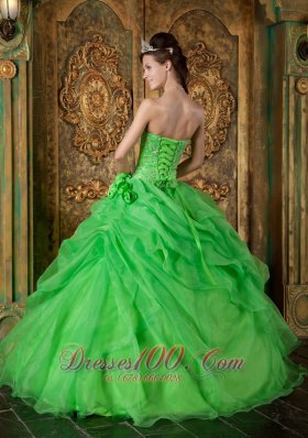 Spring Green Organza Beading Flower Quinceanera Dresses