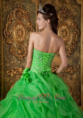 Spring Green Organza Beading Flower Quinceanera Dresses