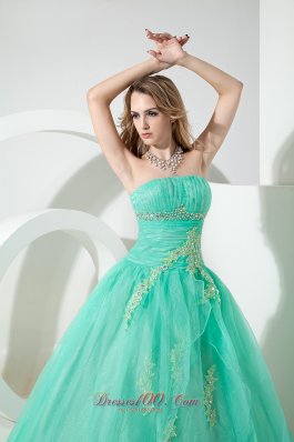 Beading and Embroidery Turquoise Organza Quinceanera Dress