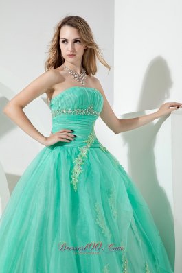 Beading and Embroidery Turquoise Organza Quinceanera Dress