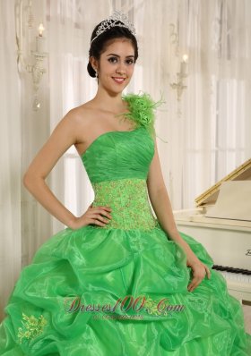 Spring Green One Shoulder Dresses 15 Embroidery Pick-ups