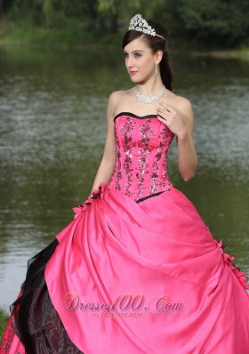 Flowers With Embroidery Hot Pink 2013 Quinceanera Dress