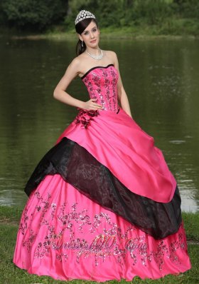 Flowers With Embroidery Hot Pink 2013 Quinceanera Dress