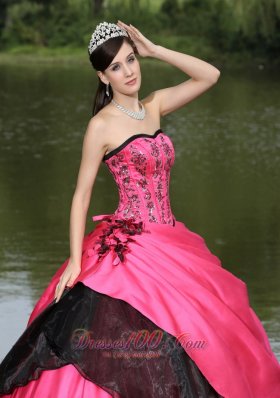 Flowers With Embroidery Hot Pink 2013 Quinceanera Dress