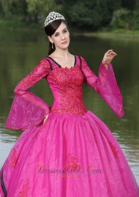 V-neck Long Sleeves Appliques Fushsia Quinceaneras Dress