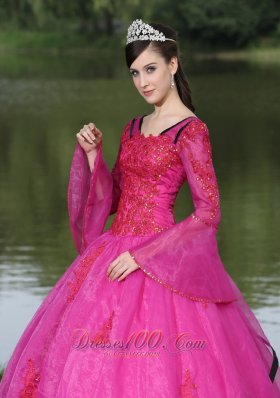 V-neck Long Sleeves Appliques Fushsia Quinceaneras Dress