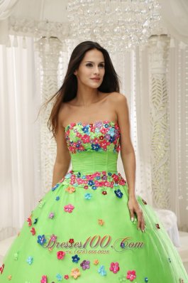 Spring Green Sweet 15 Dresses With Appliques Decorate