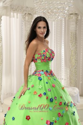 Spring Green Sweet 15 Dresses With Appliques Decorate