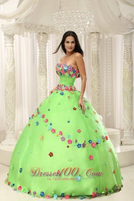 Spring Green Sweet 15 Dresses With Appliques Decorate