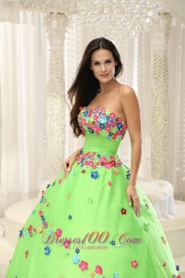 Spring Green Sweet 15 Dresses With Appliques Decorate