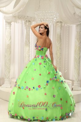 Spring Green Sweet 15 Dresses With Appliques Decorate