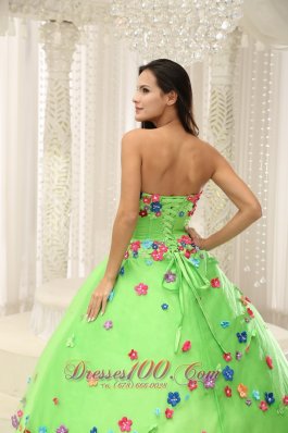 Spring Green Sweet 15 Dresses With Appliques Decorate