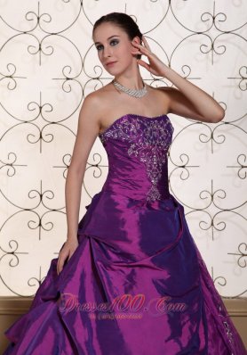 Purple Dresses for Quinceaneras Taffeta With Embroidery