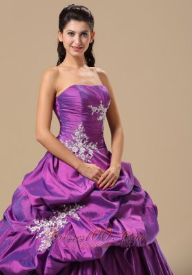 Strapless Appliques Decorate Pick-ups Purple Dresses Of 15