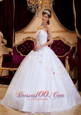 Exquisite Appliques Organza White Sweet 16 Dress