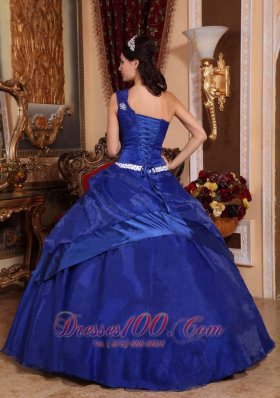 Royal Blue One Shoulder Hand Made Flower Quinceanera Dress