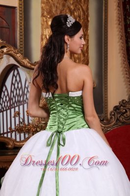 Spring Green and White Organza Embroidery Sweet 15 Dress