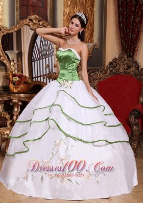 Spring Green and White Organza Embroidery Sweet 15 Dress