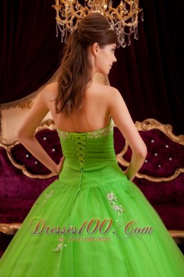 Spring Green Quinceanera Dress A-line Appliques Strapless