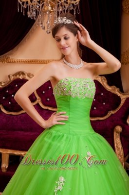 Spring Green Quinceanera Dress A-line Appliques Strapless