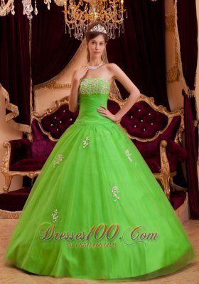 Spring Green Quinceanera Dress A-line Appliques Strapless