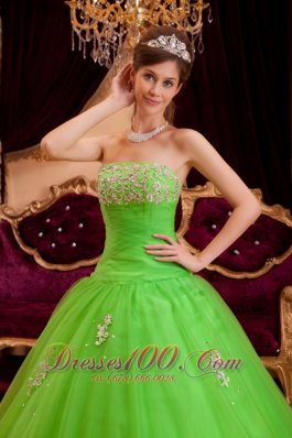 Spring Green Quinceanera Dress A-line Appliques Strapless