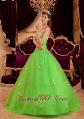 Spring Green Quinceanera Dress A-line Appliques Strapless