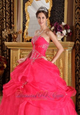 Coral Red Appliques Strapless Sweet 16 Dress Designer